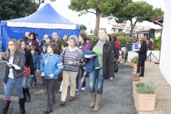 2011-II-Domenica-di-Avvento-14