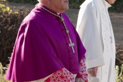 2011-Processione-Ceri-13